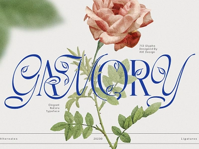 Gamory Typeface design font fonts letteing typeface