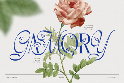 Gamory Typeface design font fonts letteing typeface