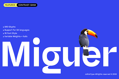 Miguer Sans | Contrast Sans | Free To Try brand free font freebies