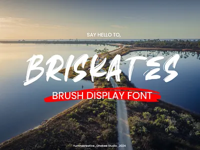 Briskates – Brush Display Font brand brush decorative design display font illustration modern new old rough skate street trend typeface typography unique urban vintage web