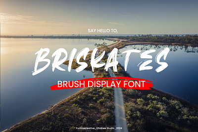 Briskates – Brush Display Font brand brush decorative design display font illustration modern new old rough skate street trend typeface typography unique urban vintage web