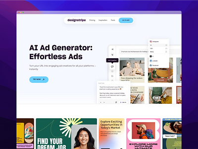 designstripe Landing Page product design ui ux