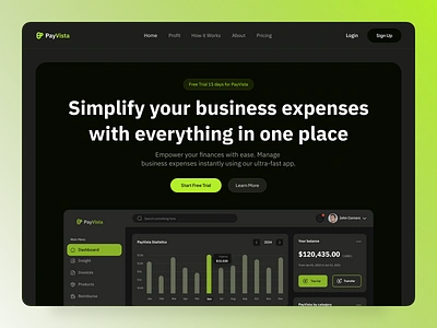 PayVista- SaaS Landing Page figmadesign fintech landingpage saas saasdesign uibulbul uiux