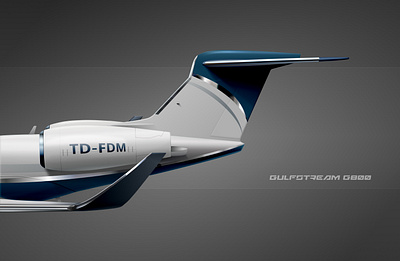 ✈️ Gulfstream G800 in Vector Style