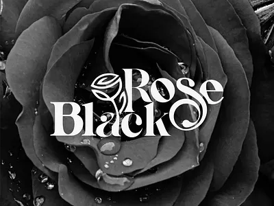 Black Rose Logo black branding graphic design illustration inspire logo rose vector