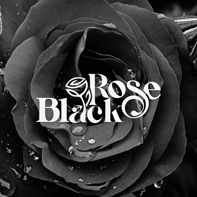 Black Rose Logo black branding graphic design illustration inspire logo rose vector