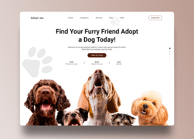 Pet Adoption Website adoption animals dog dog adoption figma pet care pet care website pets uiux web design website