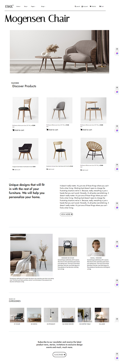 Funiture Website design furniture graphic design website