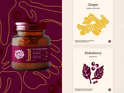 Grassroot Packaging Design – Boost Supplement (1) branding graphic design health and wellness illustrations logo packaging packaging design supplements