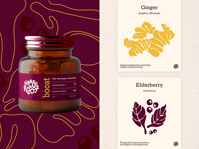 Grassroot Packaging Design – Boost Supplement (1) branding graphic design health and wellness illustrations logo packaging packaging design supplements