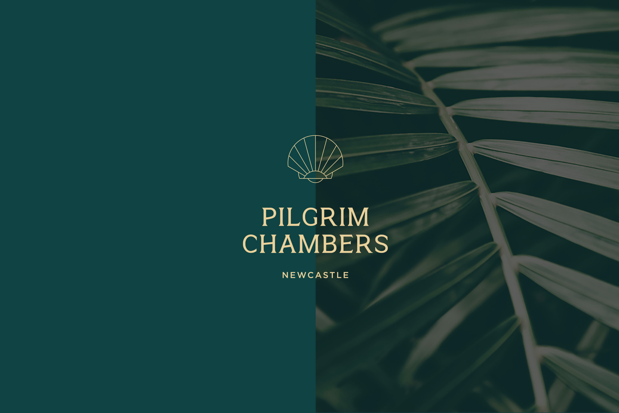 Pilgrim Chambers animation art direction branding logo paid media ui video web