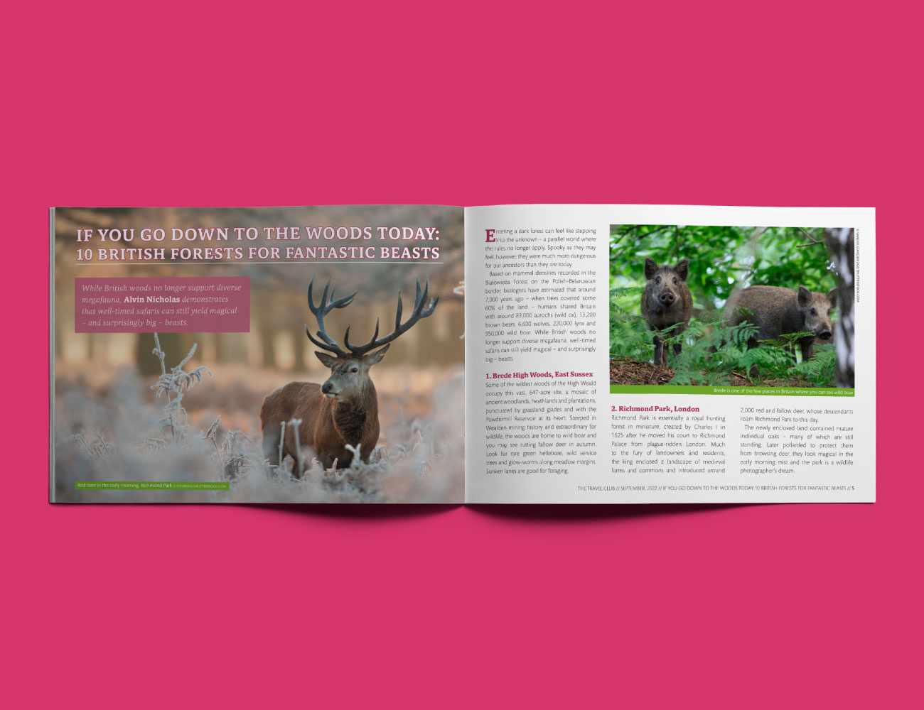 Graphic Design – Magazine Layout brand identity branding creative design creative designer design designer editorial design editorial designer graphic design graphic designer layout design layout designer magazine design magazine designer print design print designer typography typography design visual design visual designer