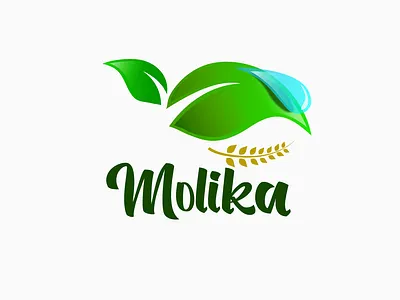 Molika Logo Design branding design farm graphic design green identity illustration leave logo vector