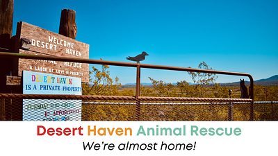 Desert Haven Animal Rescue Intro Video branding illustration video