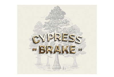 Cypress Brake Illustrations by Steven Noble artwork branding design engraving etching illustration landscape line art pen and ink scratchboard steven noble woodcut