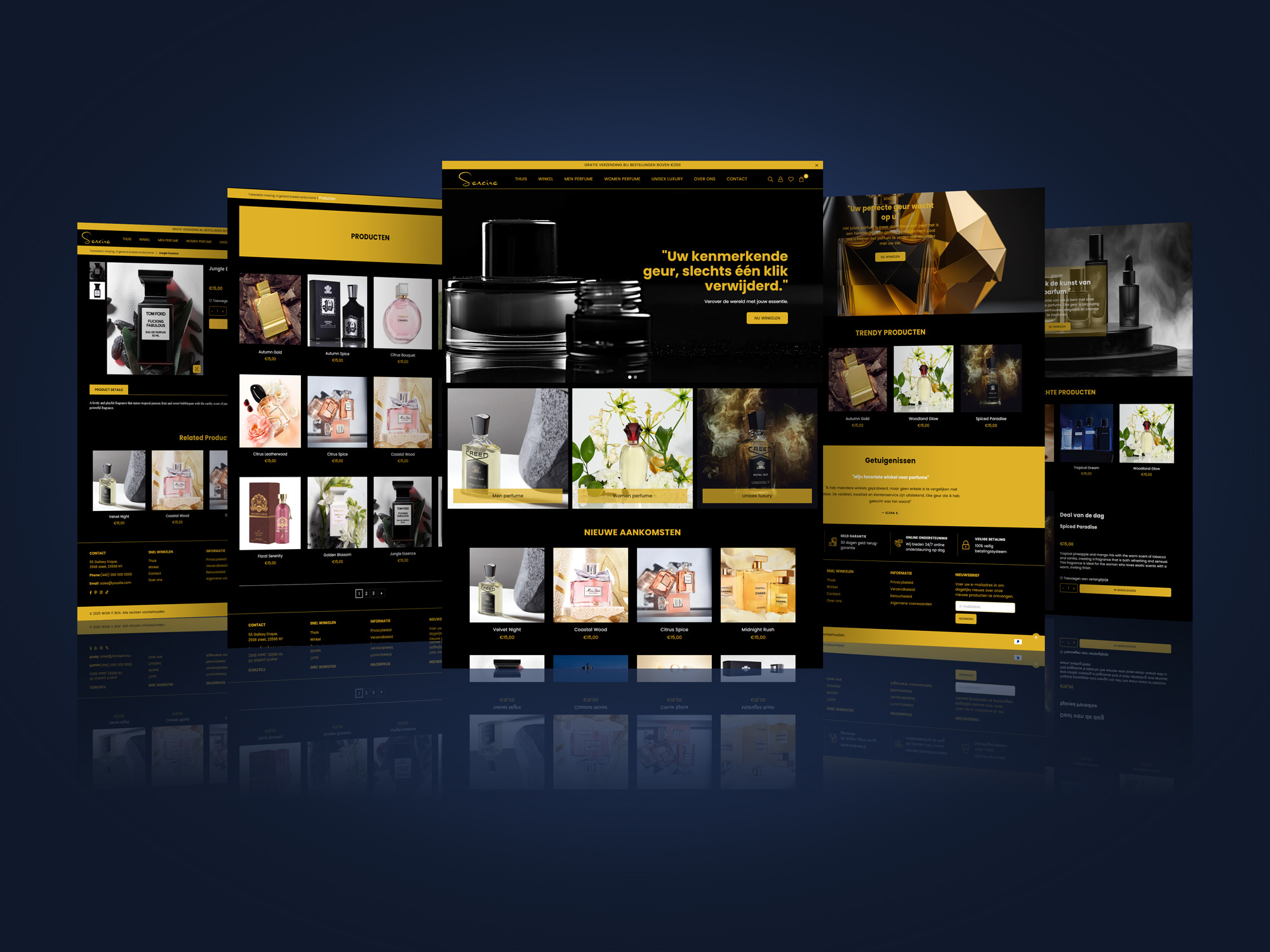 Example of Shopify Web Designer | Shopify Experts