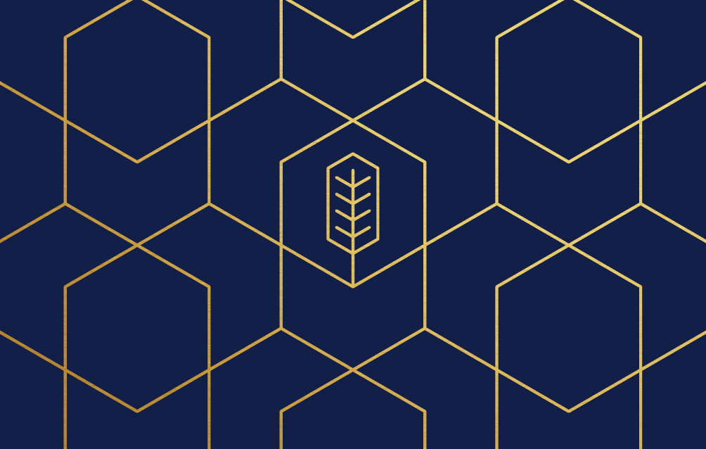 RC Seguros branding graphic design logo