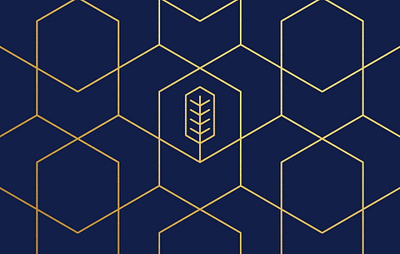 RC Seguros branding graphic design logo
