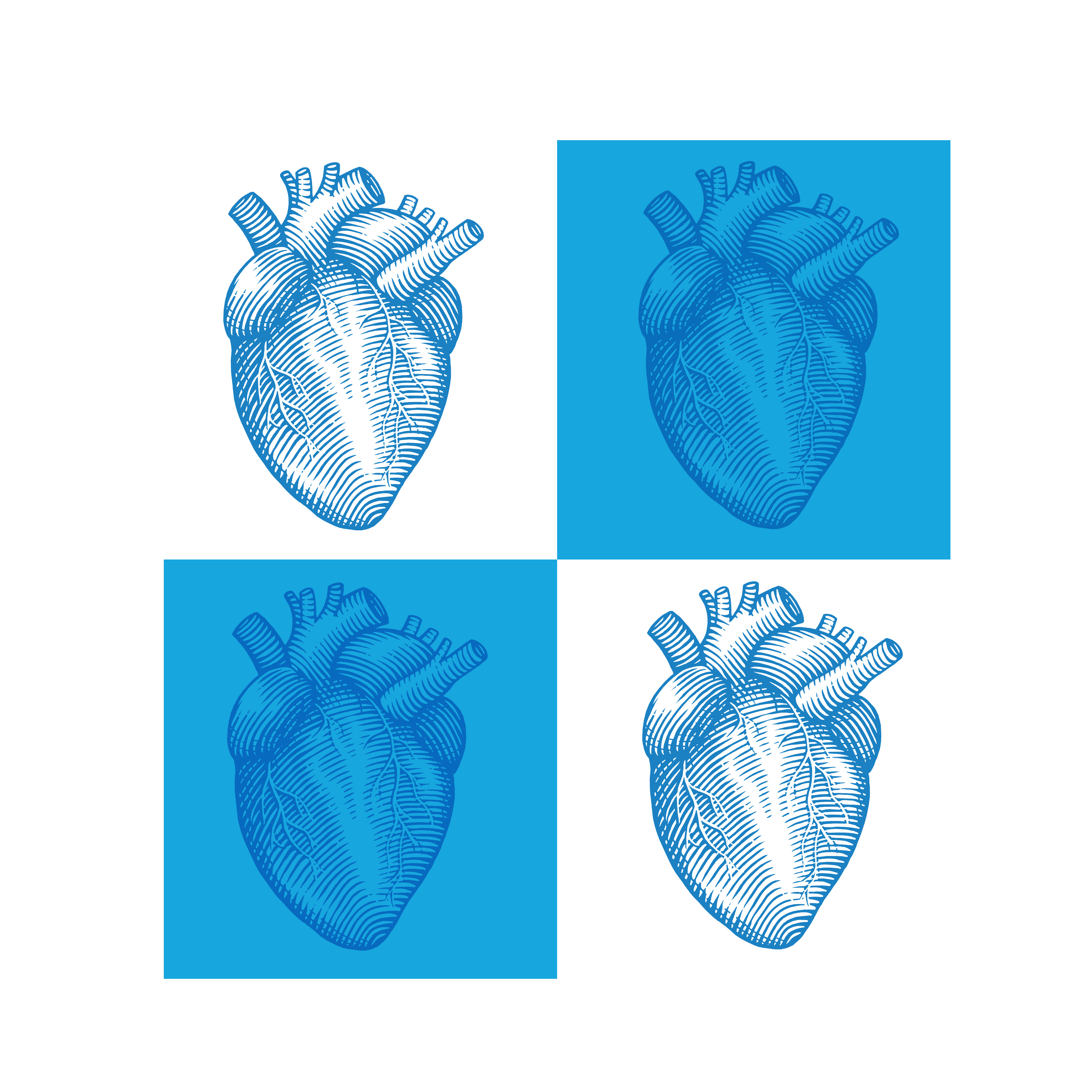 Example of Northside Hospital Logo By Steven Noble