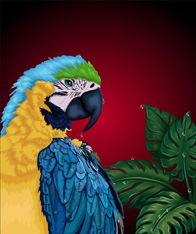 The Macaw's Spirit adobe illustrator animation bird artwork bird portrait bold colors colorful bird digital art exotic bird feather detail green leaves macaw nature illustration parrot realistic vector red background tropical art tropical bird vector illustration water droplets wildlife art