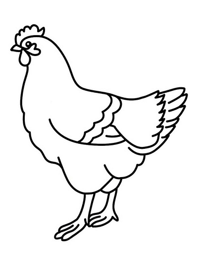 Chicken Coloring Pages