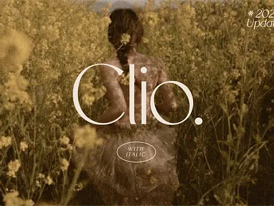 Clio - Clean Display Sans clean clio clean display sans elegant serif serif font serif typeface simple