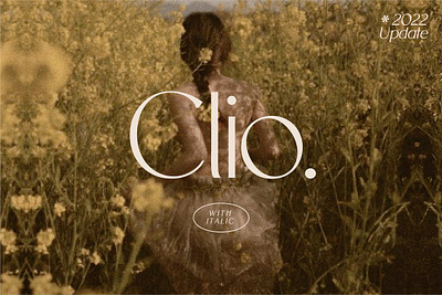 Clio - Clean Display Sans clean clio clean display sans elegant serif serif font serif typeface simple