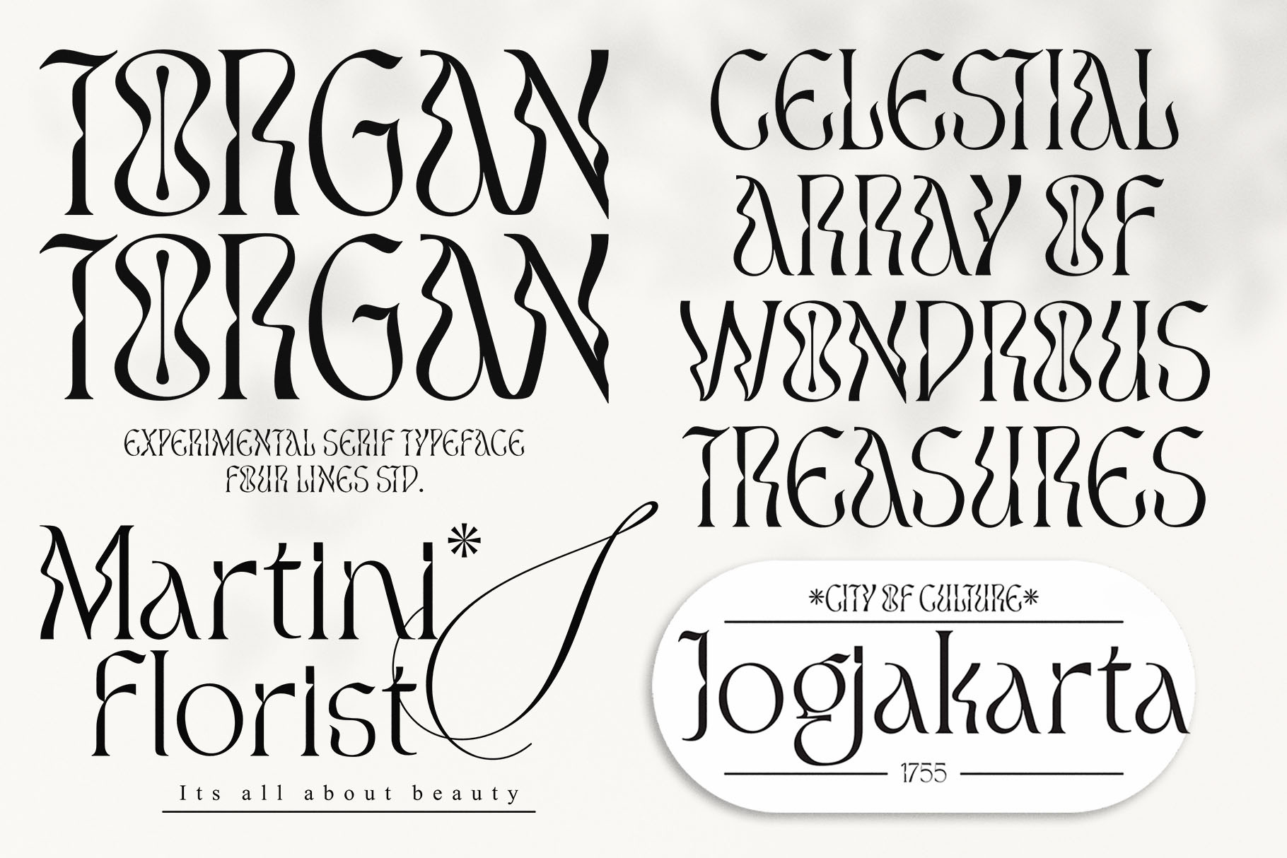 Torgan – Experimental Serif Font experimental fonts