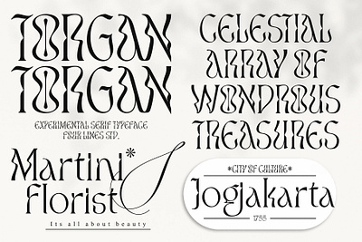 Torgan – Experimental Serif Font experimental fonts