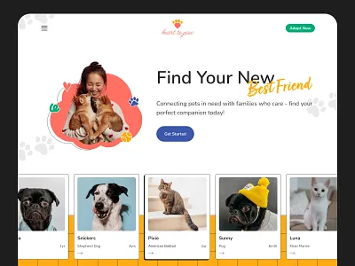 Pet Adoption Website cat cats dog dogs pet pet adoption pet website pets ui ui design uidesign uiux webdesign website website design