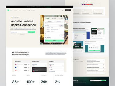 Streamlined Global Finance and Payment Management branding ui