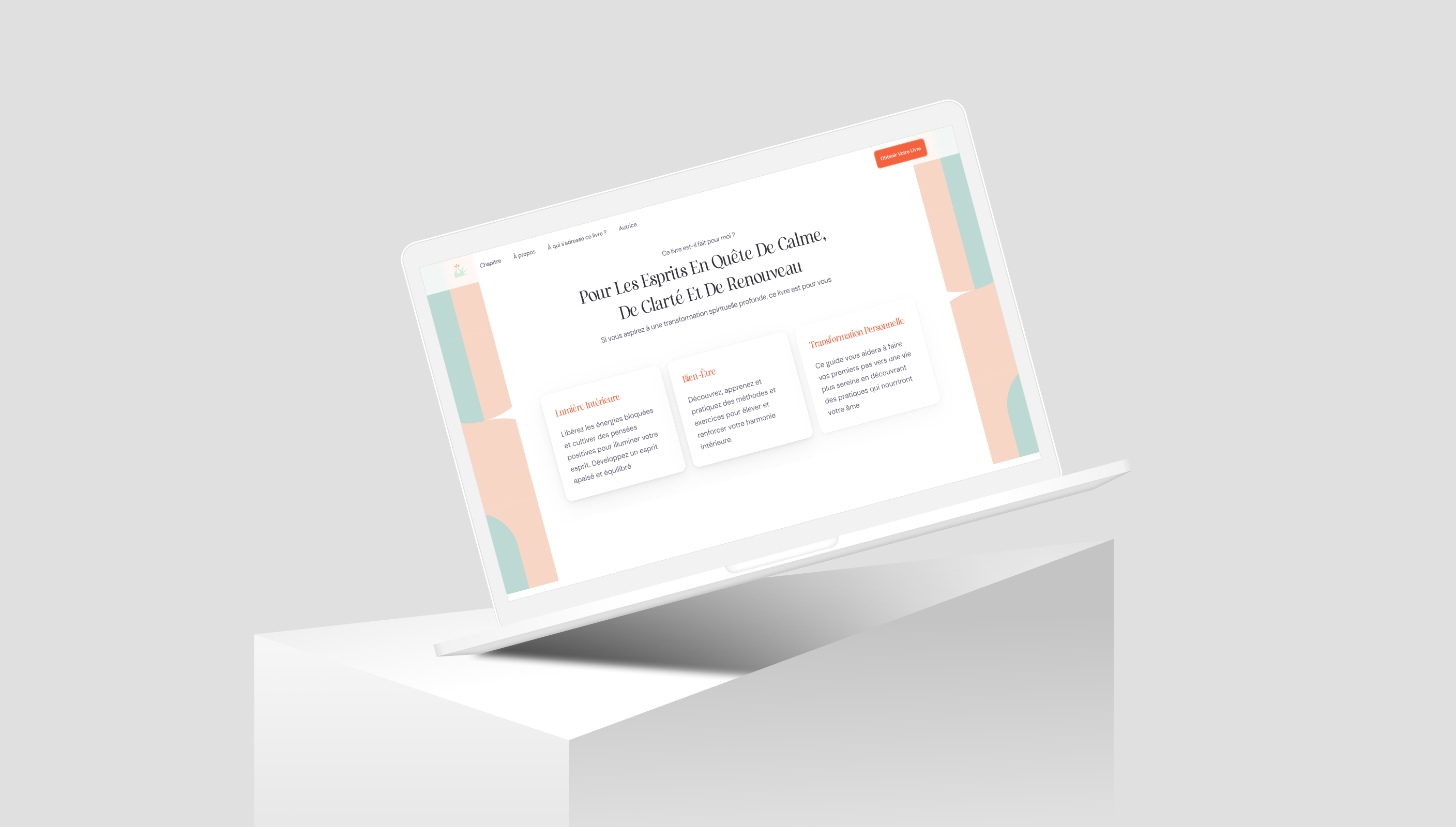 Example of Web Design   No Code Development