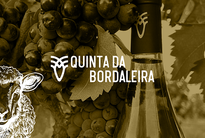 QUINTA DA BORDALEIRA | Web Development design digital graphic design landing page social ads campaign ui ux website