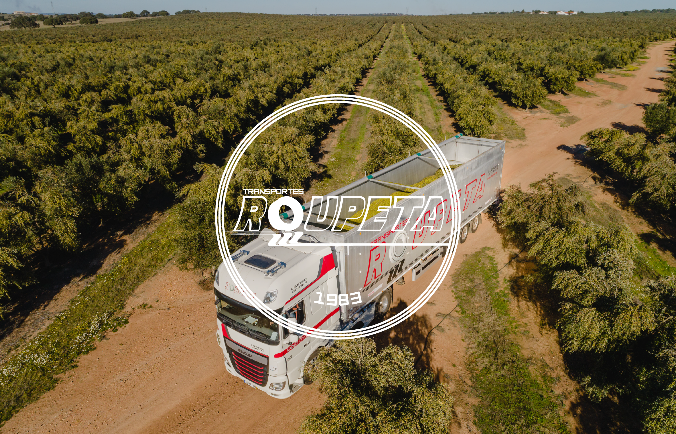 TRANSPORTES ROUPETA | Web Development and Stationery business card design digital graphic design stationery web design web development website