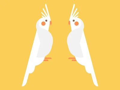 Cockatiel digital art flat design graphic design illustration 2d vector