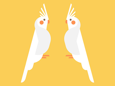 Cockatiel digital art flat design graphic design illustration 2d vector