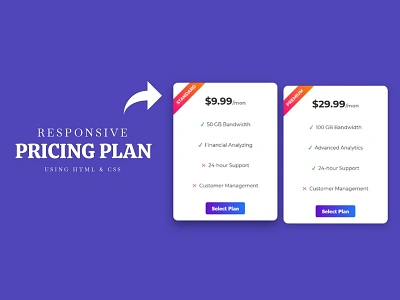 Responsive Pricing Plan css css3 divinectorweb frontend html html5 price plan pricing plan responsive web design