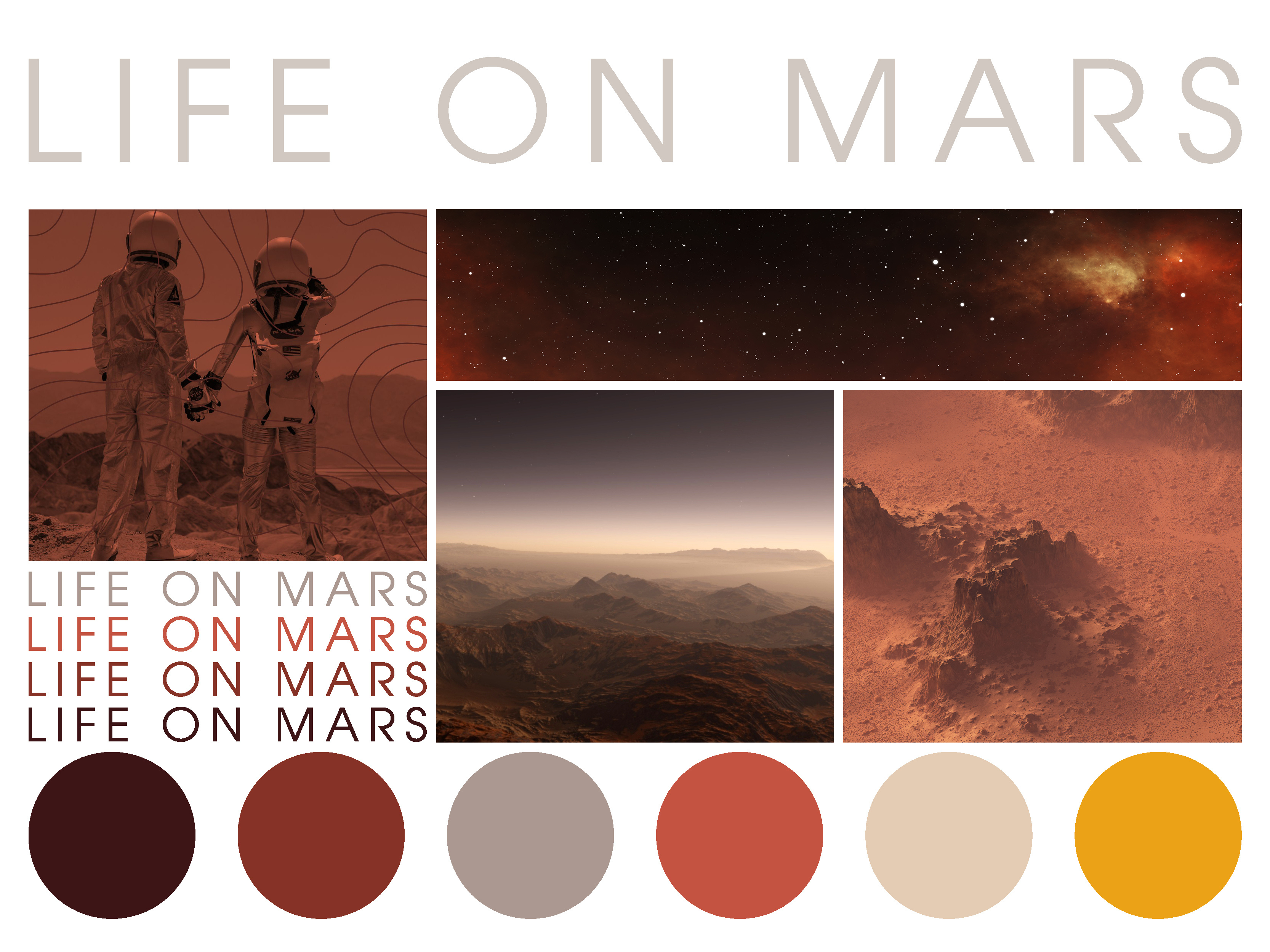 Life on Mars: A Mars Habitat Simulation Experience collateral event event branding event collateral identity mars martian patch patches space education stickers