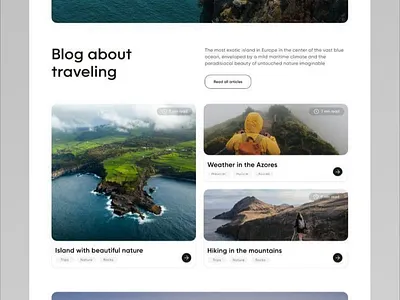 Traveling Site graphic design ui ux