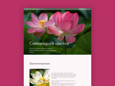 Longread for the tourism industry design flower illustration lotus tourism ui ux