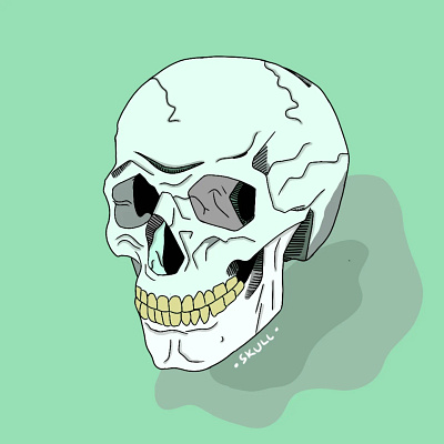 Skull Ilustration 💀 2d art ilustrasi ilustration portfolio