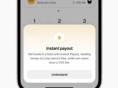 Instant Payout Info Bottom Sheet animated animation bottom sheet finance fintech icon money payout