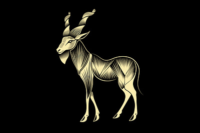 Markhor illustration | Markhor Lineart animal illustartion maker animal logo maker art and illustration logo creator logo maker markhor art and illustration markhor logo markhor t shirt design