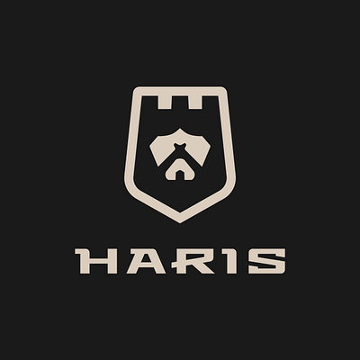 Haris - security and surveillance branding castle home identity logo safety security shield soldier