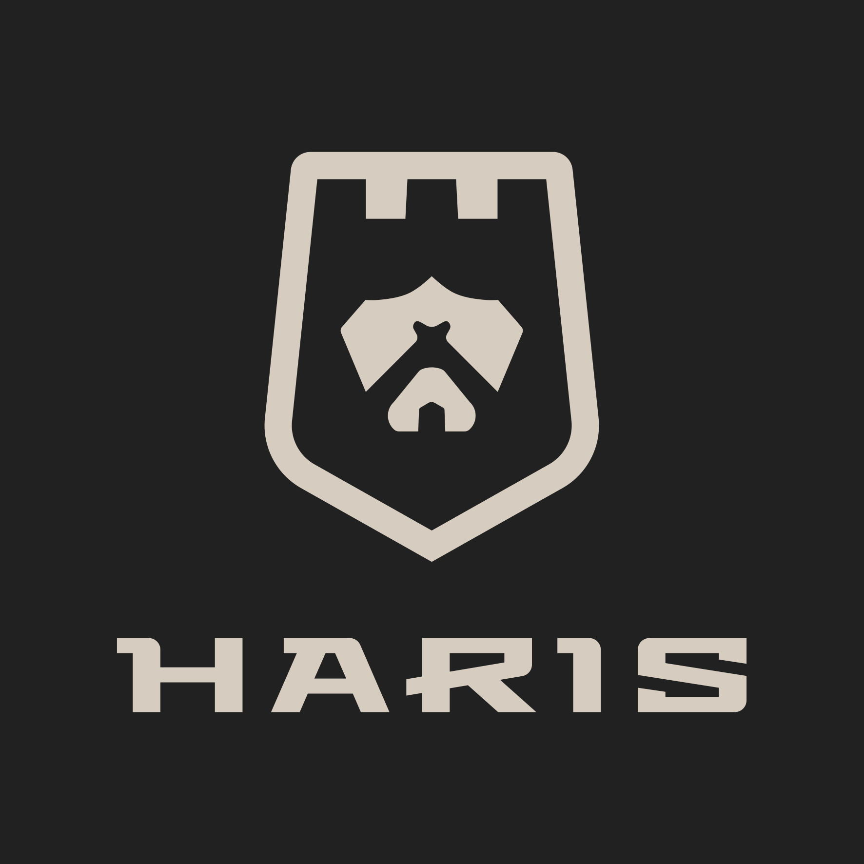 Example of Brand Identity Design