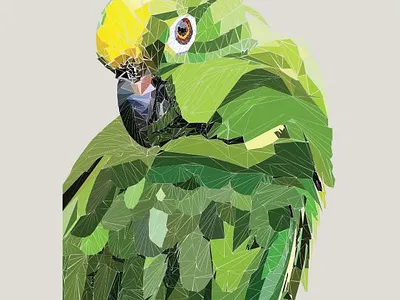 polyart of parrot art design graphic design illustration polyart