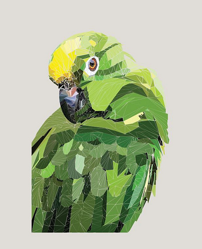 polyart of parrot art design graphic design illustration polyart