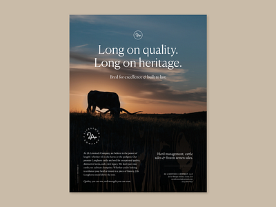 2A Livestock Company ad agency ad design ad designer ad designers agriculture agriculture design agriculture designer agriculture marketing cattle cattle design cattle marketing cow cow ddesign cow marketing livestock livestock design longhorn marketing agency