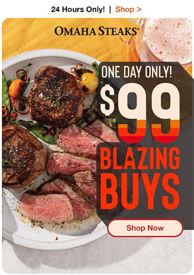 Omaha Steaks Summer E-Mail Hero branding design digital e mail ecommerce graphic design marketing