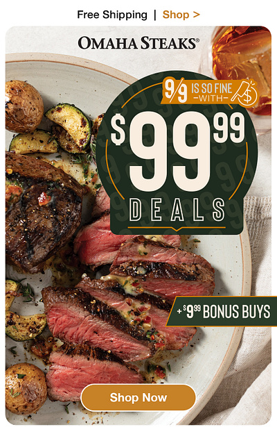 Omaha Steaks Offer Email design digital ecommerce graphic